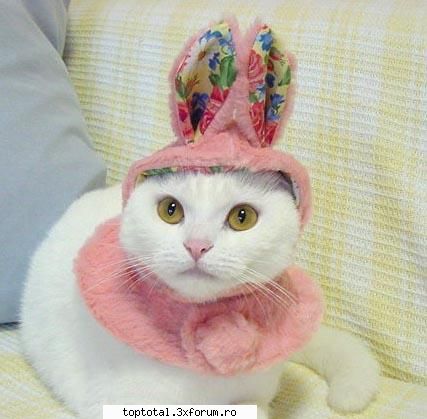 animals - ti-a placut?atunci iti mai arat una - Lumea Animalelor