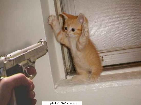 animals - deny_sama - Lumea Animalelor