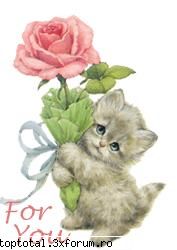 animals - Sora_Kagome - Lumea Animalelor