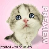 animals - Sora_Kagome - Lumea Animalelor