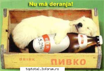 anunt important - eu te felicit, dar ce sa spun ca ai devenit - Anunturi