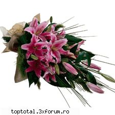 plante - iti plac crinii?pey sa pun cateva poze pt tine;) - Lumea Plantelor