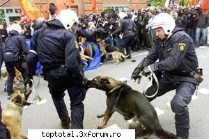 police station! - aici vor fi trecuti membrii care nu respecta - Sectia de politie