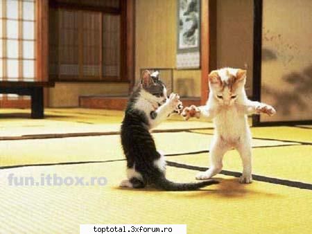 sport - mai am multe poze haioase - Sport