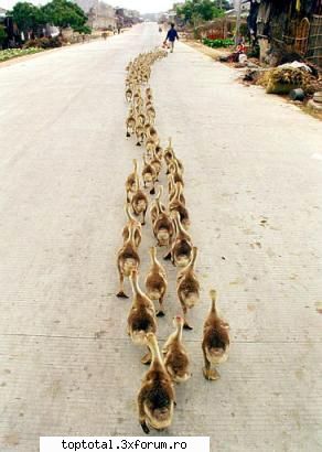 sport - arhitect_92 - Sport